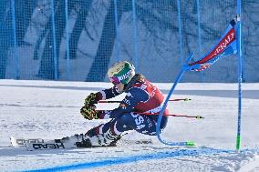 SPORT INVERNALI - Sci Alpino - AUDI FIS Ski World Cup - Giant Slalom - Women