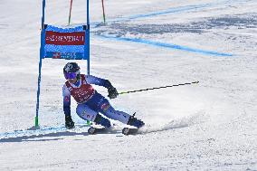 SPORT INVERNALI - Sci Alpino - AUDI FIS Ski World Cup - Giant Slalom - Women