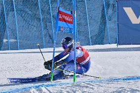 SPORT INVERNALI - Sci Alpino - AUDI FIS Ski World Cup - Giant Slalom - Women