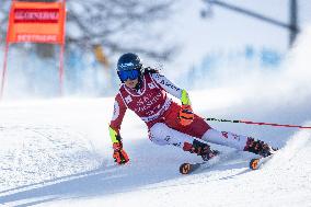 Audi FIS Ski World Cup Sestriere 2025