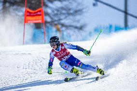 Audi FIS Ski World Cup Sestriere 2025