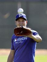 Baseball: MLB spring training