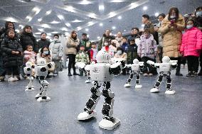 2025 Popular Science ｡､AI Robot Exhibition in Nanjing
