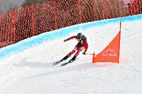 SPORT INVERNALI - Sci Alpino - ISMF World Cup - Ski Mountaineering