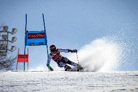 Audi FIS Ski World Cup Sestriere 2025