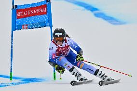 SPORT INVERNALI - Sci Alpino - AUDI FIS Ski World Cup - Giant Slalom - Women