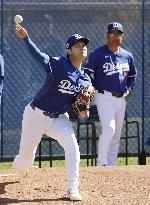 Baseball: MLB spring training