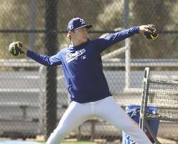 Baseball: MLB spring training