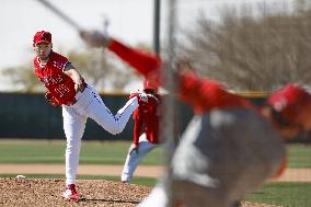 Baseball: MLB spring training
