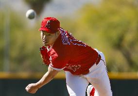 Baseball: MLB spring training