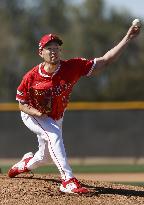 Baseball: MLB spring training