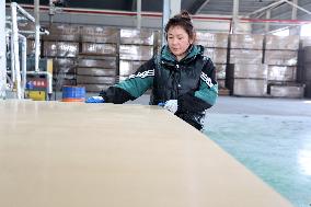 World First Aldehyde-free Density Board Production Line