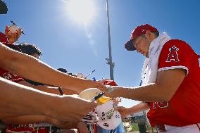 Baseball: MLB spring training