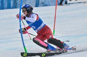 SPORT INVERNALI - Sci Alpino - AUDI FIS Ski World Cup - Slalom - Women