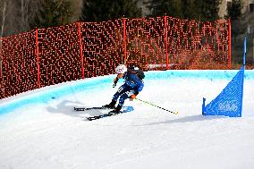 SPORT INVERNALI - Sci Alpino - ISMF World Cup - Ski Mountaineering