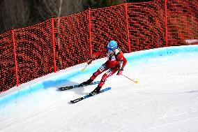 SPORT INVERNALI - Sci Alpino - ISMF World Cup - Ski Mountaineering
