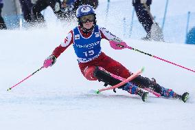 SPORT INVERNALI - Sci Alpino - AUDI FIS Ski World Cup - Slalom - Women