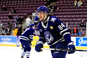 Sudbury Wolves At Brampton Steelheads, Ontario Hockey League