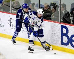 Sudbury Wolves At Brampton Steelheads, Ontario Hockey League