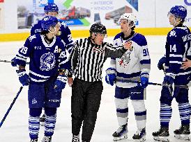 Sudbury Wolves At Brampton Steelheads, Ontario Hockey League