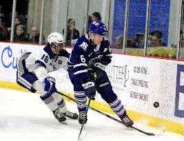 Sudbury Wolves At Brampton Steelheads, Ontario Hockey League