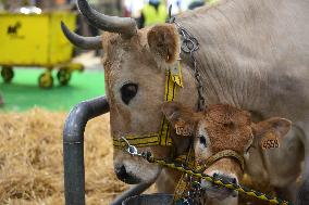 International Agricultural Exhibition - Paris