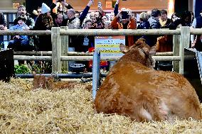 International Agricultural Exhibition - Paris