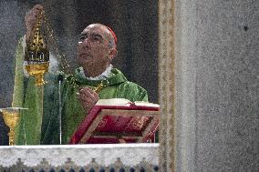 Cardinal Reina Mass for Pope Francis Healing - Rome