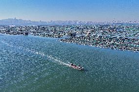Mariculture