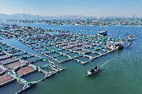 Mariculture