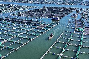 Mariculture