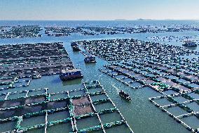Mariculture