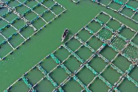 Mariculture