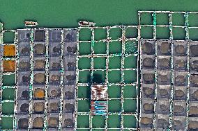 Mariculture