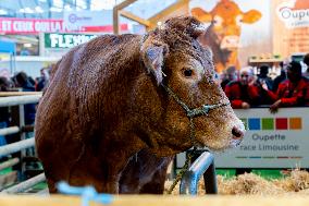 61st Agricultural Fair - Paris