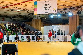 61st Agricultural Fair - Paris