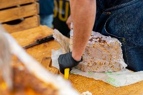 61st Agricultural Fair - Paris