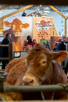 61st Agricultural Fair - Paris