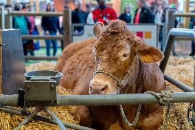 61st Agricultural Fair - Paris