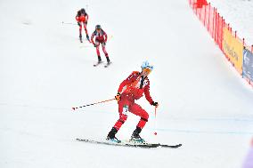 SPORT INVERNALI - Sci Alpino - ISMF World Cup - Ski Mountaineering