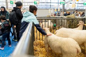 61st Agricultural Fair - Paris