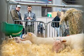 61st Agricultural Fair - Paris