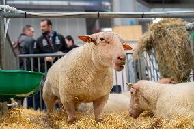 61st Agricultural Fair - Paris