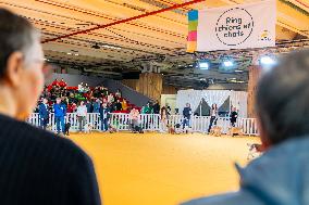 61st Agricultural Fair - Paris