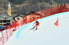 SPORT INVERNALI - Sci Alpino - ISMF World Cup - Ski Mountaineering