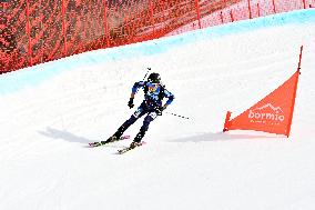 SPORT INVERNALI - Sci Alpino - ISMF World Cup - Ski Mountaineering