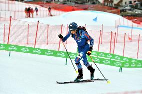 SPORT INVERNALI - Sci Alpino - ISMF World Cup - Ski Mountaineering