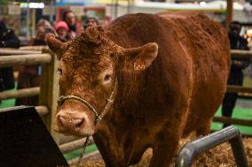 French PM Francois Bayrou at the Agricultural Fair in Paris - FA