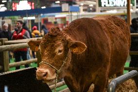 French PM Francois Bayrou at the Agricultural Fair in Paris - FA
