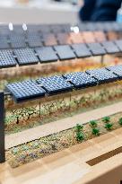 61st Agricultural Fair - Paris